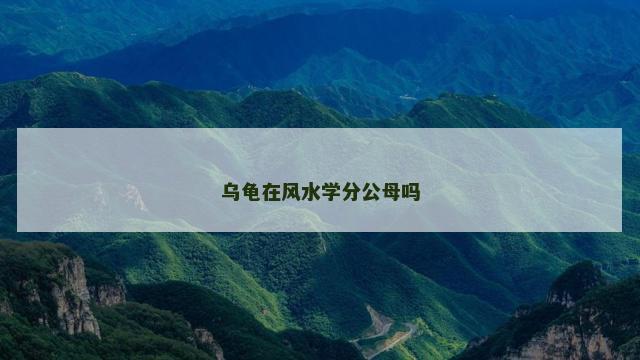 乌龟在风水学分公母吗