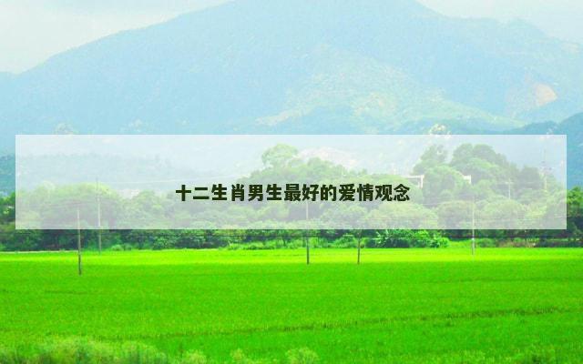 十二生肖男生最好的爱情观念
