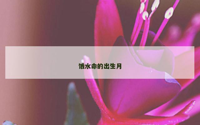 饿水命的出生月