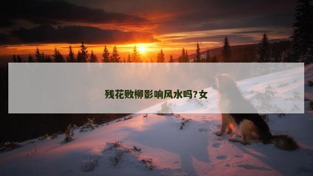 残花败柳影响风水吗?女