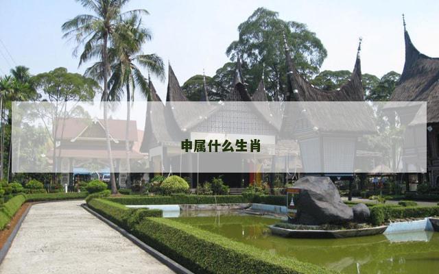 申属什么生肖