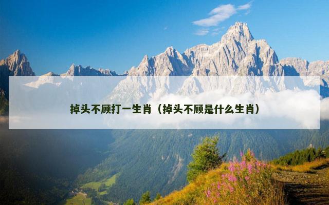 掉头不顾打一生肖（掉头不顾是什么生肖）