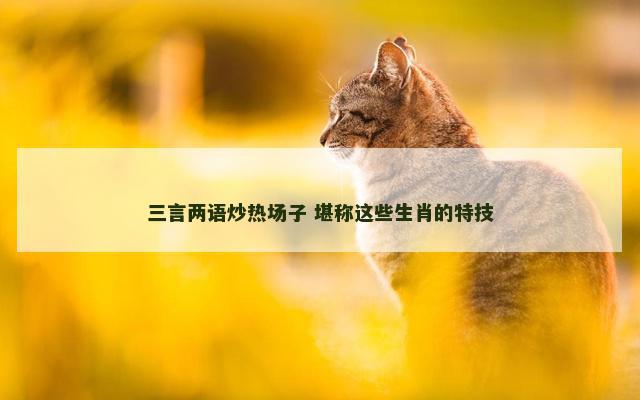 三言两语炒热场子 堪称这些生肖的特技