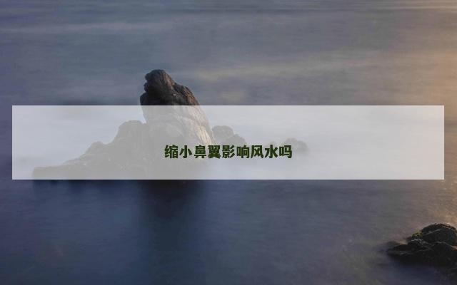 缩小鼻翼影响风水吗