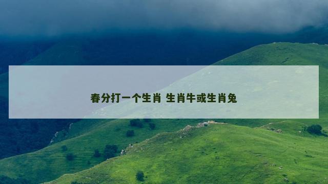 春分打一个生肖 生肖牛或生肖兔