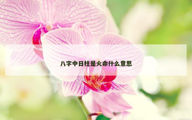 八字中日柱是火命什么意思