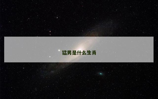 猛男是什么生肖