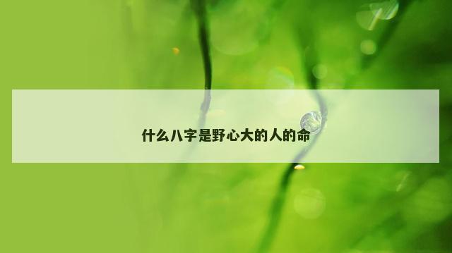 什么八字是野心大的人的命