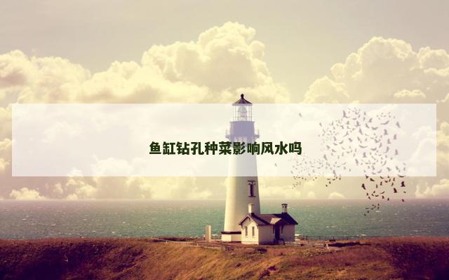 鱼缸钻孔种菜影响风水吗