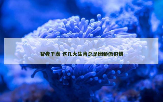 智者千虑 这几大生肖总是因骄傲犯错