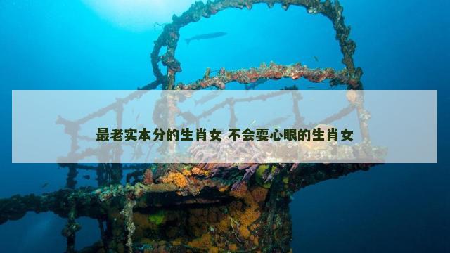 最老实本分的生肖女 不会耍心眼的生肖女