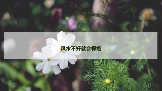 风水不好就会得癌