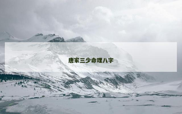 唐家三少命理八字