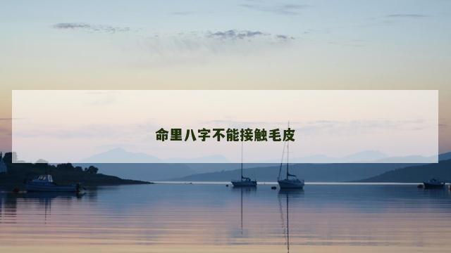 命里八字不能接触毛皮