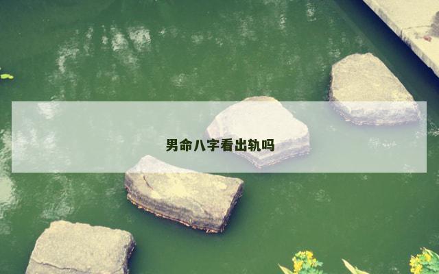男命八字看出轨吗