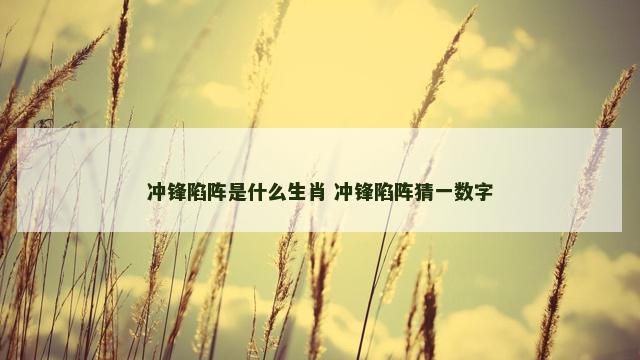冲锋陷阵是什么生肖 冲锋陷阵猜一数字