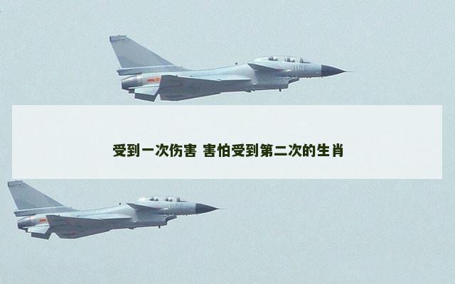 受到一次伤害 害怕受到第二次的生肖