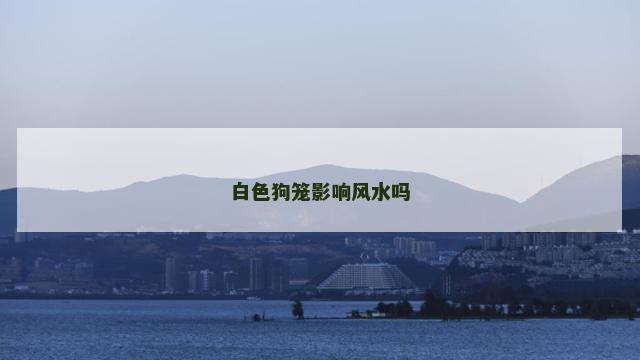白色狗笼影响风水吗