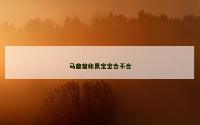 马爸爸和鼠宝宝合不合