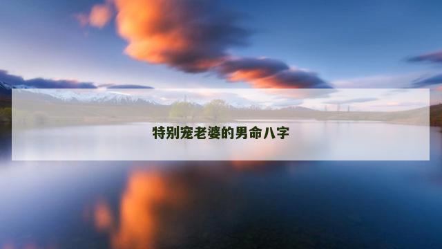 特别宠老婆的男命八字