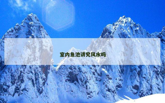 室内鱼池讲究风水吗