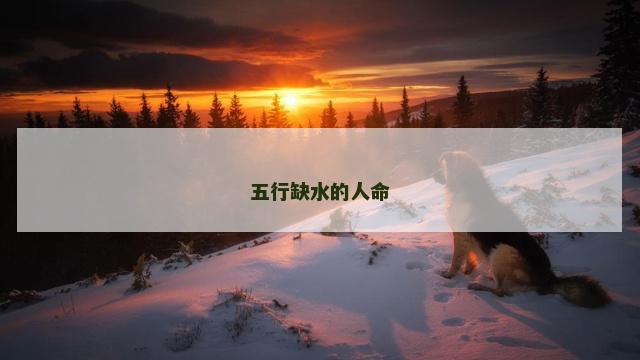 五行缺水的人命