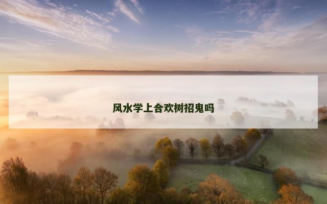 风水学上合欢树招鬼吗