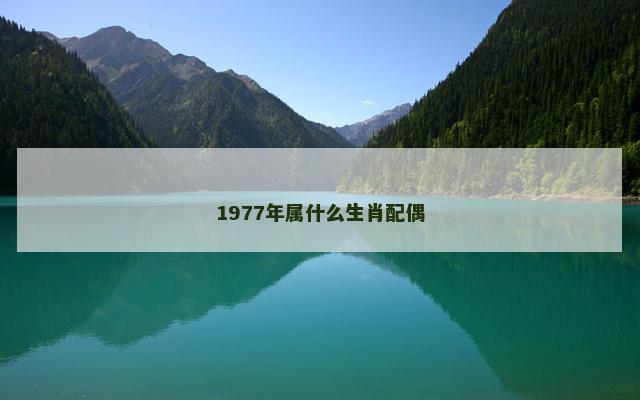 1977年属什么生肖配偶