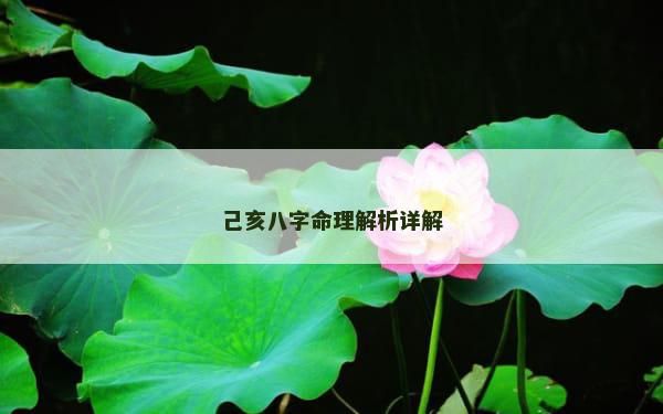 己亥八字命理解析详解