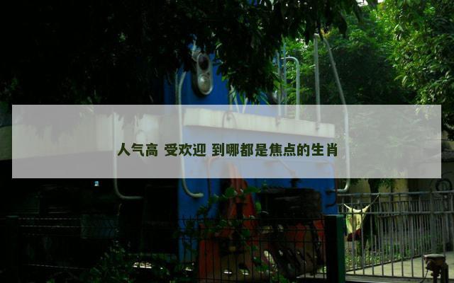 人气高 受欢迎 到哪都是焦点的生肖