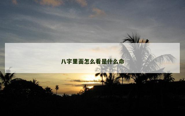八字里面怎么看是什么命