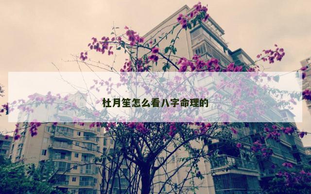 杜月笙怎么看八字命理的