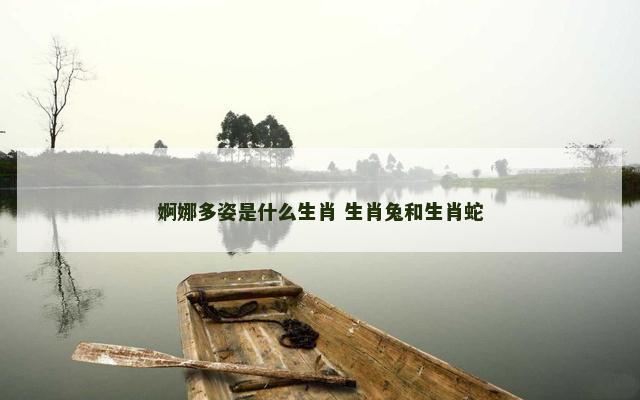 婀娜多姿是什么生肖 生肖兔和生肖蛇