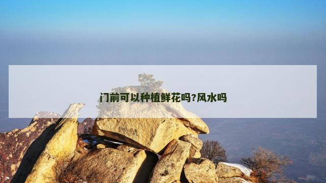 门前可以种植鲜花吗?风水吗