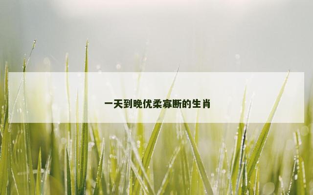 一天到晚优柔寡断的生肖
