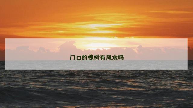 门口的槐树有风水吗