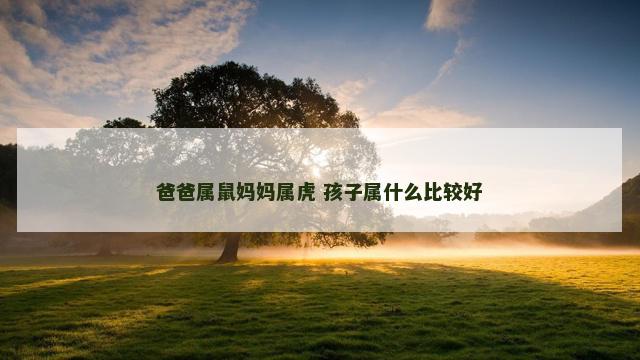爸爸属鼠妈妈属虎 孩子属什么比较好