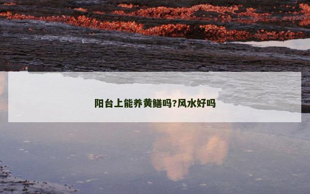 阳台上能养黄鳝吗?风水好吗