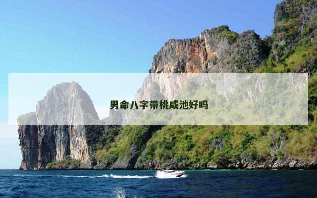 男命八字带桃咸池好吗