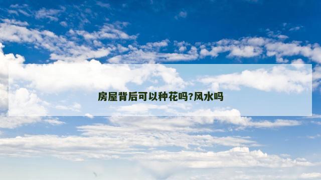 房屋背后可以种花吗?风水吗