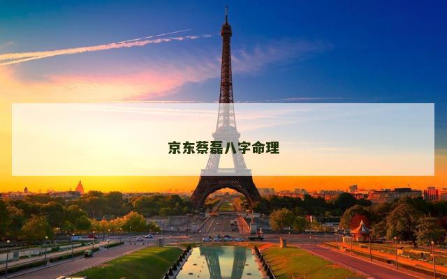 京东蔡磊八字命理