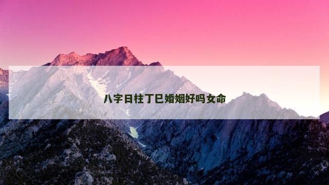 八字日柱丁巳婚姻好吗女命