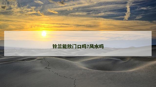 铃兰能放门口吗?风水吗