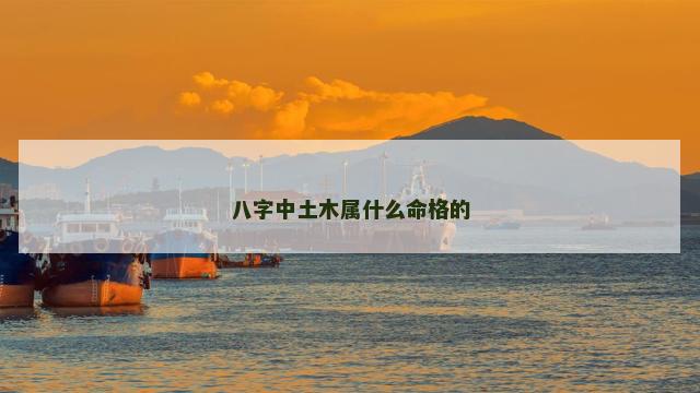 八字中土木属什么命格的