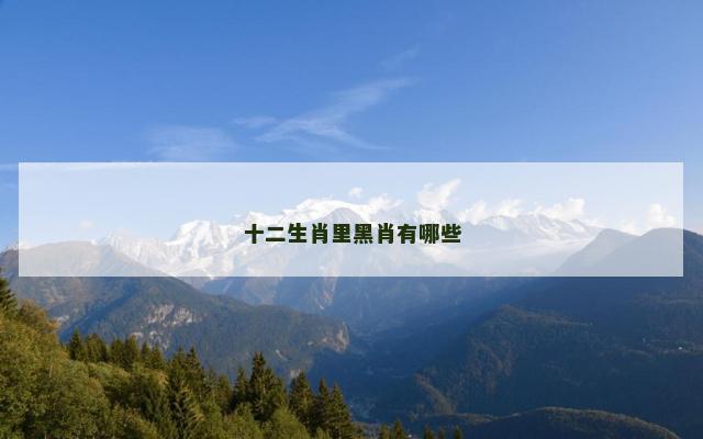 十二生肖里黑肖有哪些