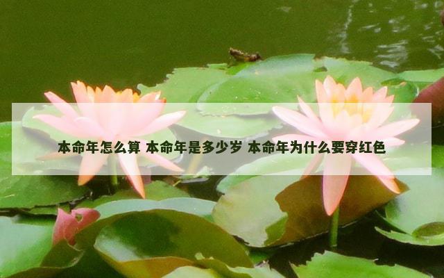 本命年怎么算 本命年是多少岁 本命年为什么要穿红色