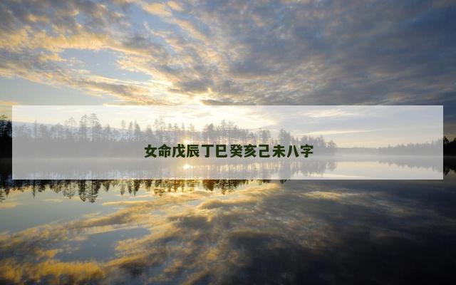 女命戊辰丁巳癸亥己未八字