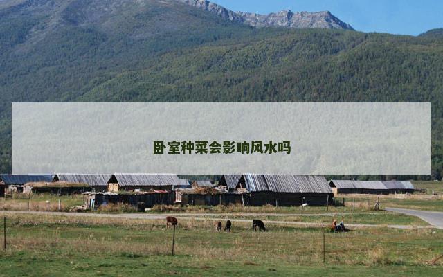 卧室种菜会影响风水吗