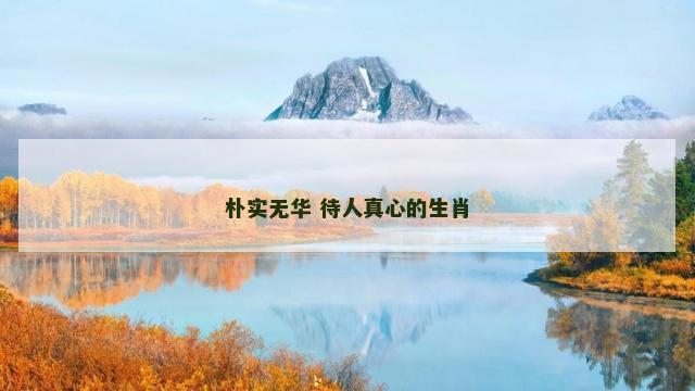 朴实无华 待人真心的生肖