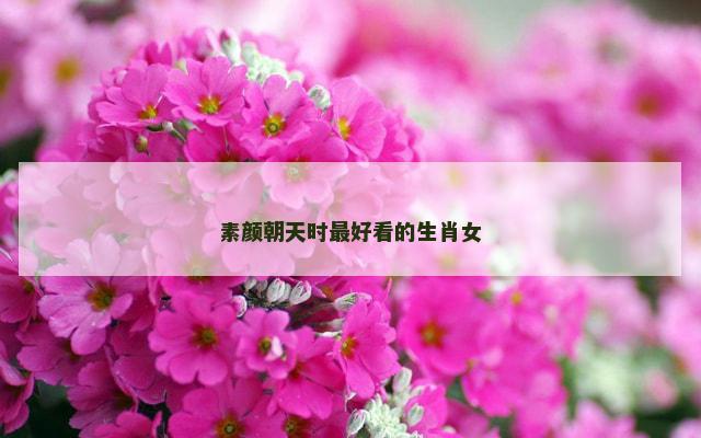 素颜朝天时最好看的生肖女